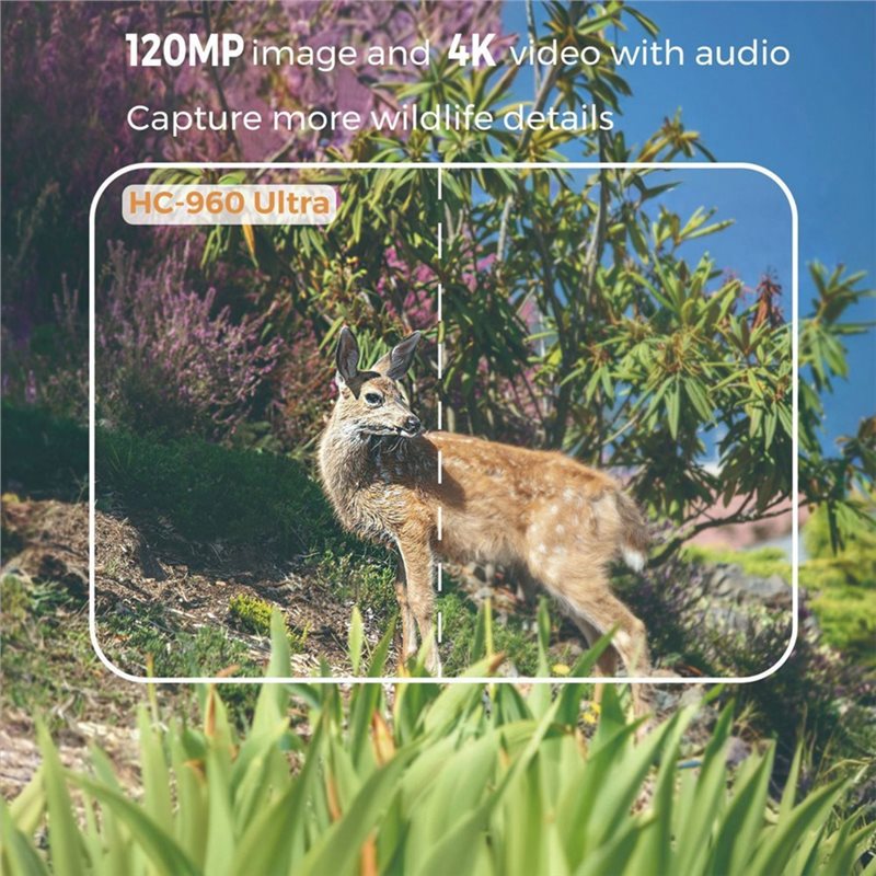 Y47A 屋外用4G 120MP 4Kライブ映像対応野生動物 - Hunting And Outdoor Shows のレビューと価格